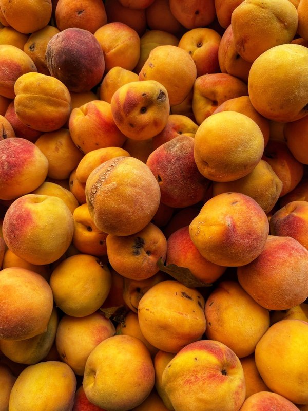 Comment choisir une location de vacances en bord de rivière pour une expérience de pêche exceptionnelle ?